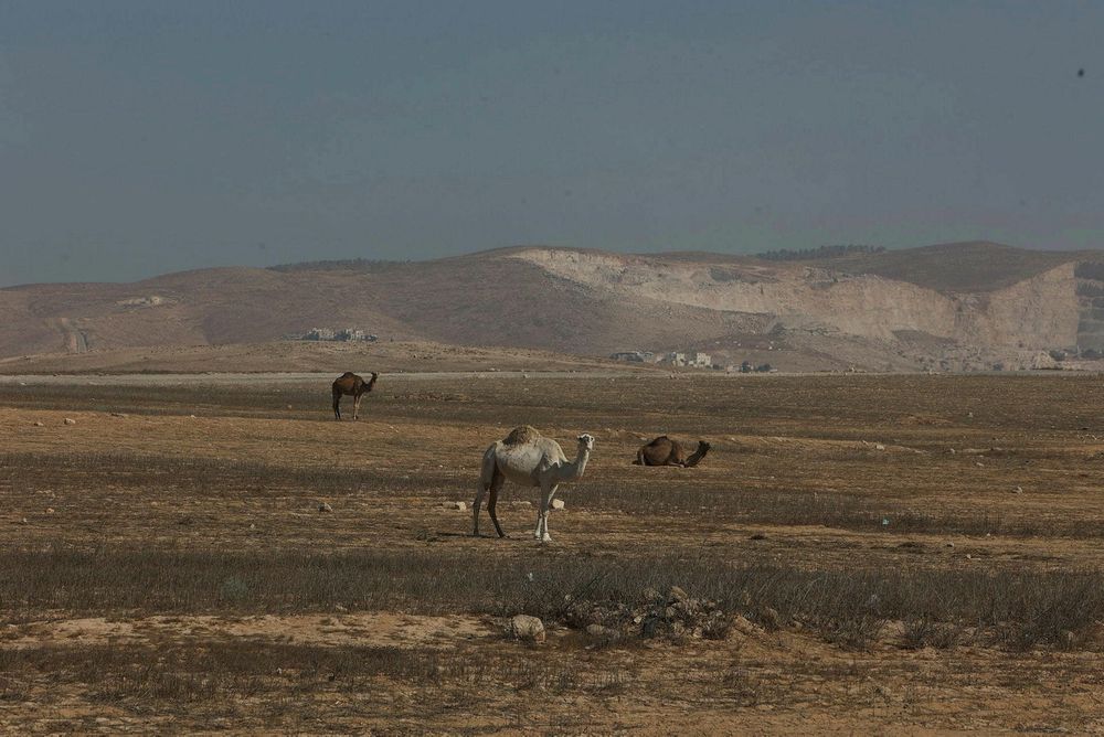 תחזית מזג האוויר: חמים מהרגיל לעונה