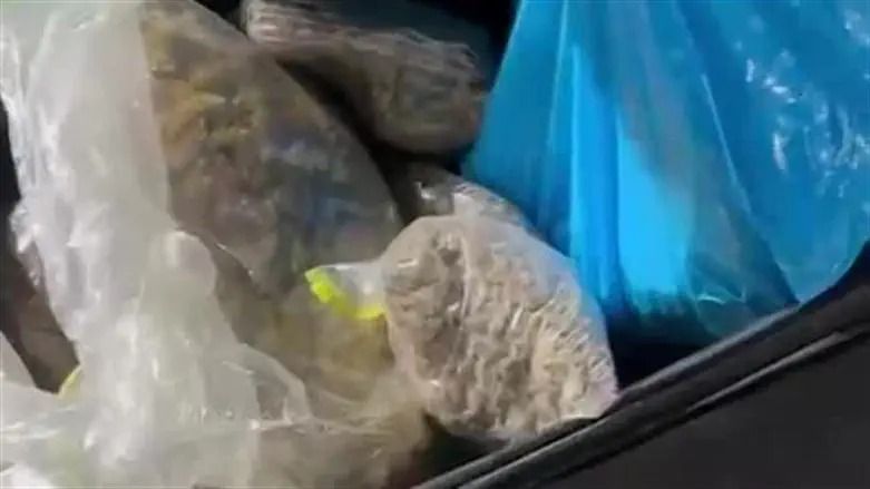 הברחת ענק בקפריסין | ישראלי ופלסטיני נעצרו על יאכטות יוקרה
