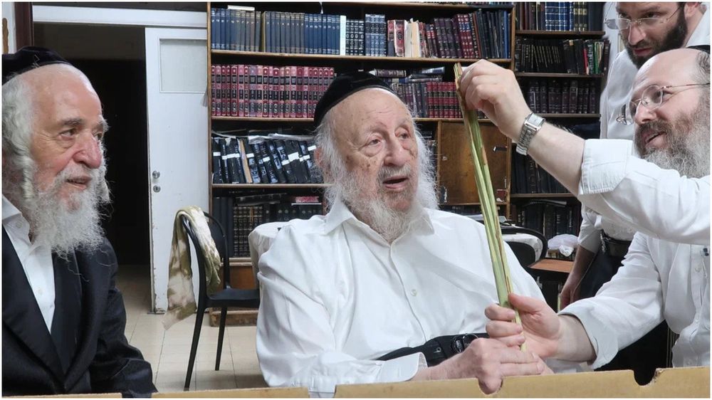 'Despite this year not being Deoraita': Yeshiva head checks lulavs for the holiday | Video