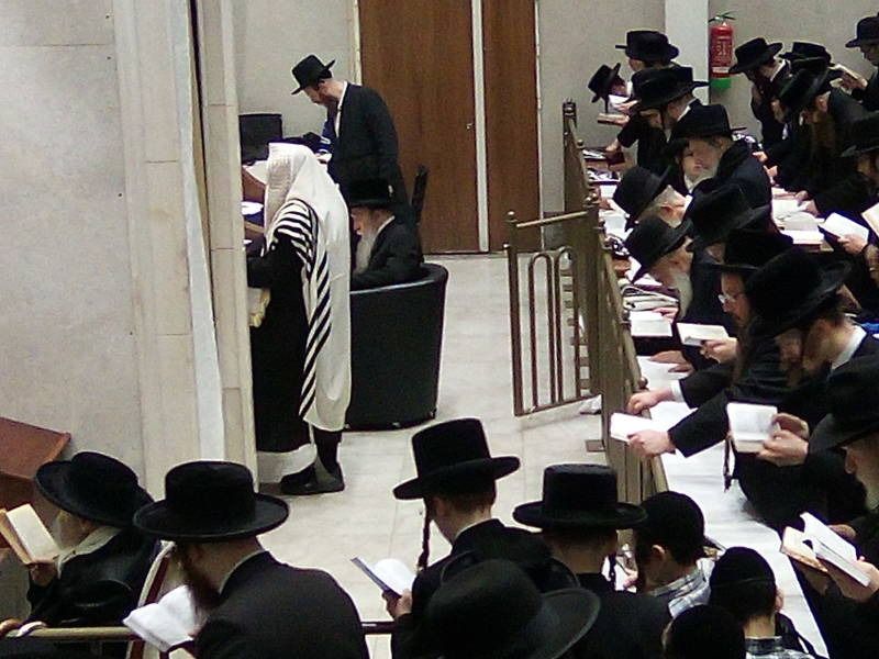 אשמורת הבוקר בבלגיה; אלפים בסליחות בצל הצדיק מפשעווארסק