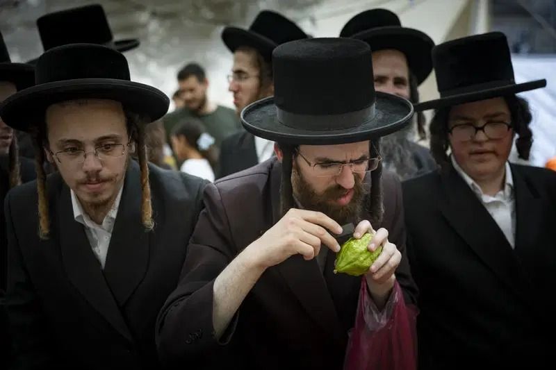 Le Gaon Rabbi Binyamin Houta: un cours complet sur les lois de la Souccah et des Quatre Espèces | À regarder