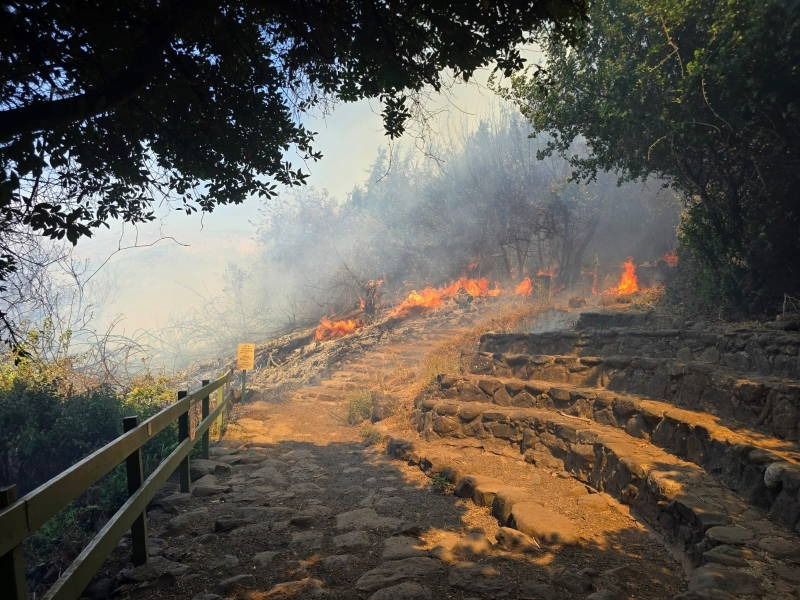 תל דן בוערת: טרקטורוני האש וטייסת אלעד בלמו את הלהבות