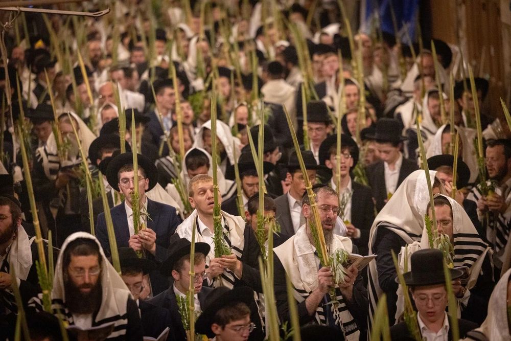 מדוע תמיד כל הקריאות לאחדות נכשלות? את זה אנחנו לומדים מסוכות // דעה