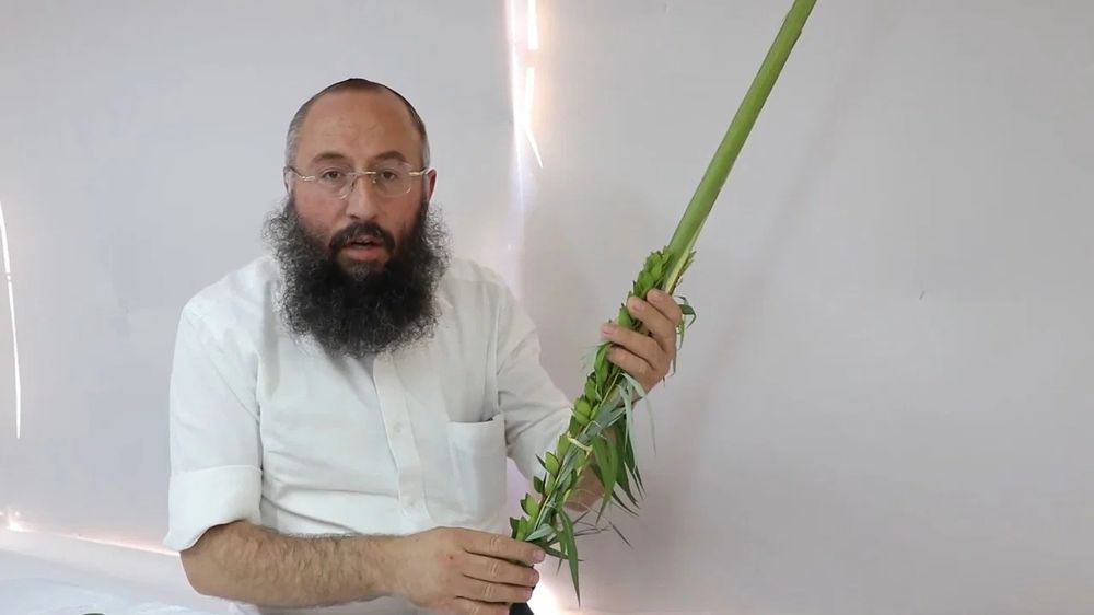 שלב אחר שלב: כך תאגדו נכון את ארבעת המינים לחג הסוכות • צפו