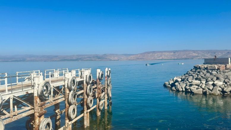 Panique de l'amibe mangeuse de cerveaux au Kinneret : l'exigence urgente du maire de Tibériade
