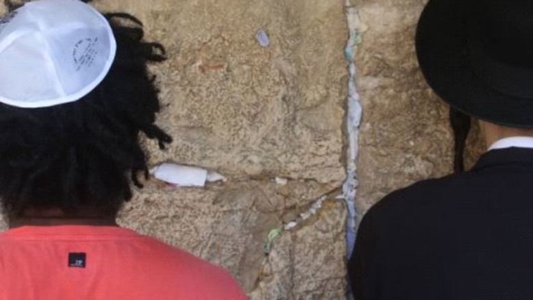 אהבת חינם. כמה קשה זה כבר יכול להיות? | יונה ברטל