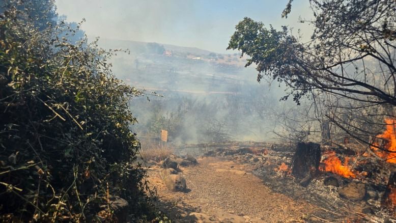 שריפה משתוללת בגליל: המבקרים פונו משמורת הטבע תל דן