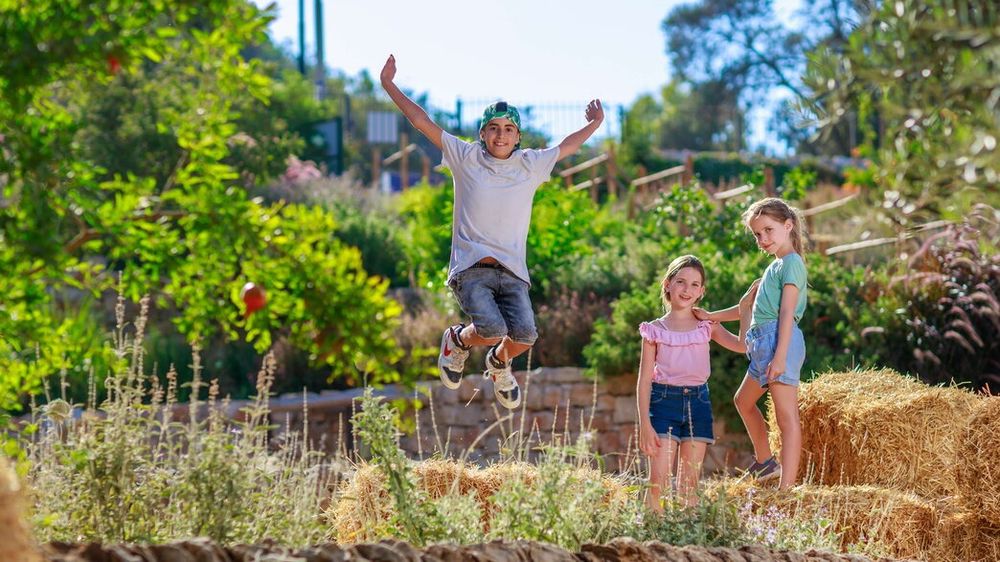מה עושים עם הילדים בחג סוכות? ריכזנו את האופציות השוות